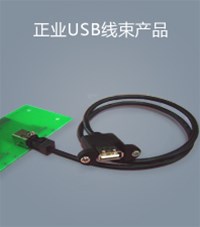 正業(yè)USB線束產(chǎn)品